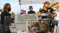 CDMX prohibirá la venta de animales en el Mercado de Sonora: la fecha ya está puesta