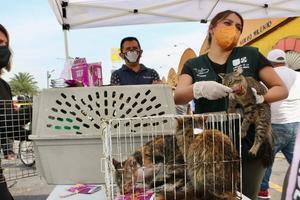 CDMX prohibirá la venta de animales en el Mercado de Sonora: la fecha ya está puesta