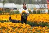CDMX rompe récord en producción de flor de cempasúchil: 6.3 millones de plantas para Día de Muertos