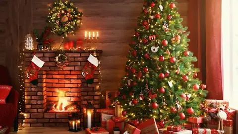 ¿Cuándo se pone el árbol de Navidad y se comienza a decorar?