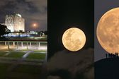 FOTOS: Así lució la superluna de noviembre en México y el mundo