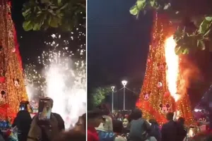 Encendido navideño termina en incendio de árbol en Bahía de Banderas, Nayarit | VIDEO
