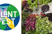 Regresa el Plant Fest a CDMX: evento gratuito para amantes de plantas y proyectos eco