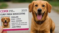 CURP para mascotas: ¿Fecha límite para tramitarla en 2025 y multa en CDMX?