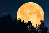 Superluna Fría 2025: cuándo ver la última y más brillante del año en México