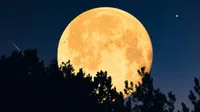 Superluna Fría 2025: cuándo ver la última y más brillante del año en México