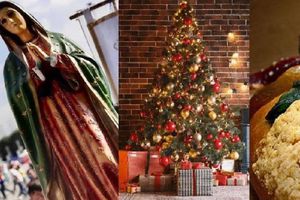 ¿Cuándo inicia el Operativo Guadalupe-Reyes 2025 en CDMX?