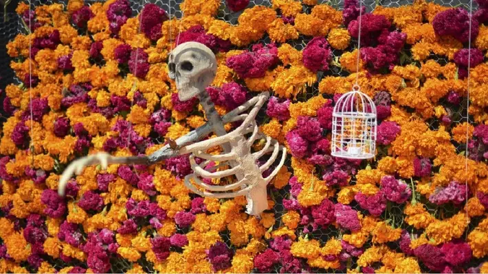 Megaofrenda UNAM 2025: Fechas, temática y horarios para visitarla
