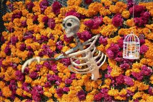 Megaofrenda UNAM 2025: Fechas, temática y horarios para visitarla