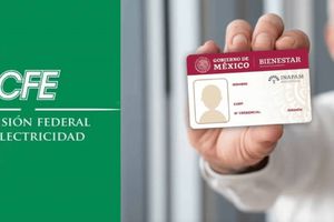 ¿La CFE da descuentos a adultos mayores con credencial del INAPAM? Esto es lo que debes saber