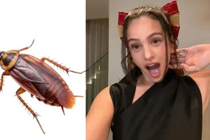 Video: Rosalía grita y se levanta al ver una cucaracha voladora en entrevista