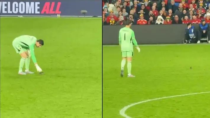 Thibaut Courtois, además de atajar, también caza ratones