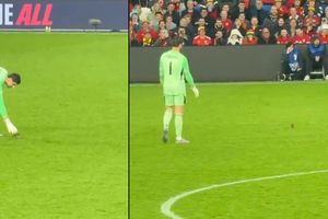 Thibaut Courtois, además de atajar, también caza ratones