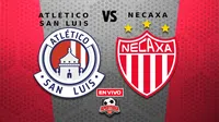 Atlético San Luis vs Necaxa EN VIVO Liga MX Apertura 2025 Jornada 15
