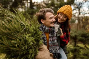 Árboles de Navidad 2025 en el Estado de México: dónde comprarlos y cómo elegirlos