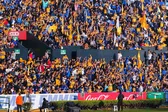 Tigres abrirá las puertas del Estadio Universitario para transmitir la Final de Vuelta ante Toluca
