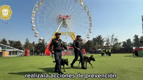 Flow Fest 2025: ¡Pórtate bien! Este es el operativo de la policía adentro y afuera del festival