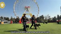 Flow Fest 2025: ¡Pórtate bien! Este es el operativo de la policía adentro y afuera del festival