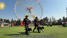 Flow Fest 2025: ¡Pórtate bien! Este es el operativo de la policía adentro y afuera del festival