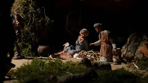 UNAM pide no usar musgo natural en decoraciones navideñas: estas son las razones