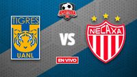 Tigres vs Necaxa EN VIVO Liga MX Jornada 13 Apertura 2025