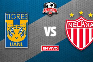 Tigres vs Necaxa EN VIVO Liga MX Jornada 13 Apertura 2025