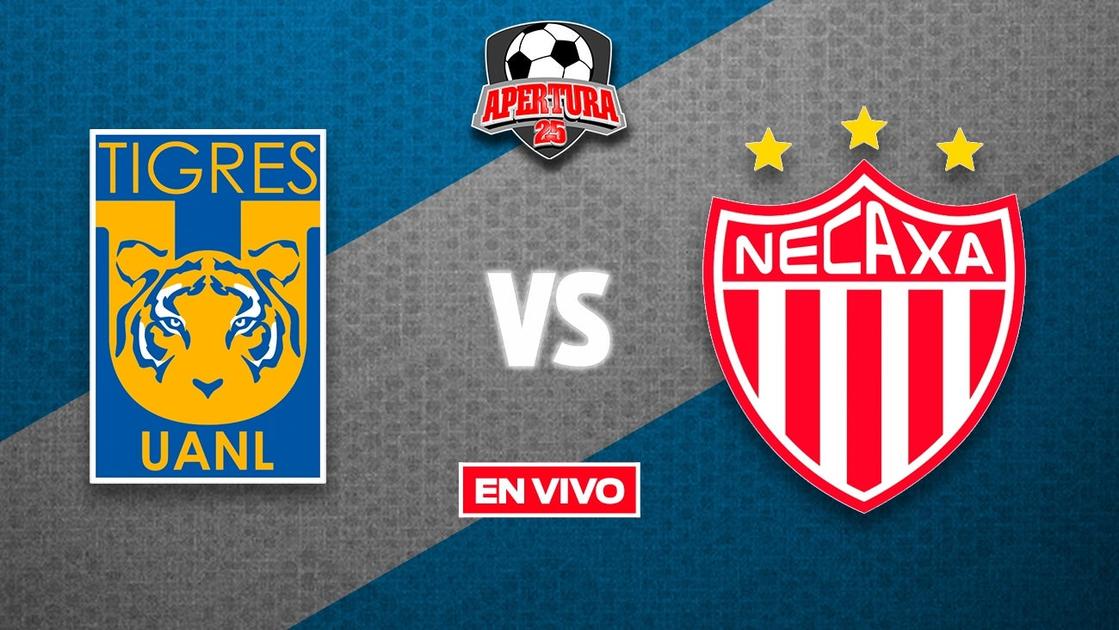 Tigres vs Necaxa EN VIVO Liga MX Jornada 13 Apertura 2025 | RÉCORD