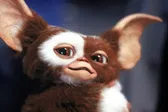 Regresa Gremlins: todo lo que se sabe de Gremlins 3, estreno y nuevos personajes