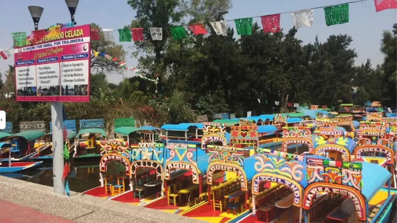 ¡’Manita de gato’ a las trajineras! Xochimilco se prepara para el Mundial con nueva cara