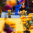 ¿Por qué se usan flores de cempasúchil en Día de Muertos?