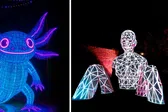 Festival Internacional de las Luces 2025: Así luce Paseo de la Reforma con figuras iluminadas