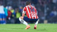 Jugadores de Chivas, que estaban en el palco, reaccionaron así a la falla de Javier Hernández