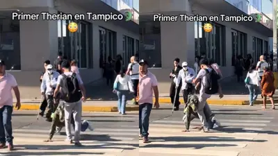 VIDEO: Joven patea a therian “cocodrilo” en Tampico y se hace viral