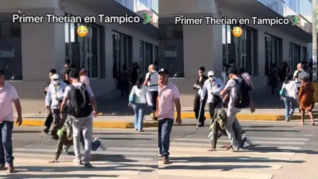 VIDEO: Joven patea a therian “cocodrilo” en Tampico y se hace viral