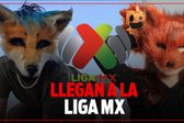 ¿Qué Therian de la Liga MX eres según tu mes de nacimiento? Descubre qué jugador animal vive en ti