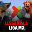 ¿Qué Therian de la Liga MX eres según tu mes de nacimiento? Descubre qué jugador animal vive en ti