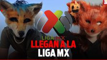 ¿Qué Therian de la Liga MX eres según tu mes de nacimiento? Descubre qué jugador animal vive en ti