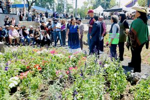 CDMX estrena el Jardín de Lluvia más grande del país en el Estadio Azteca: así funcionará