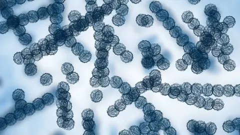 El hongo Candida auris se ha convertido en una de las principales preocupaciones sanitarias en Estados Unidos. / iStock