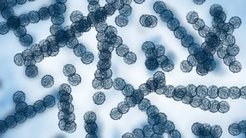 El hongo Candida auris se ha convertido en una de las principales preocupaciones sanitarias en Estados Unidos. / iStock