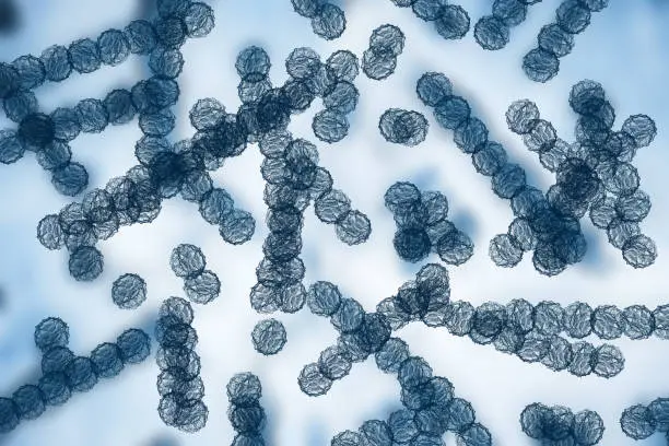 El hongo Candida auris se ha convertido en una de las principales preocupaciones sanitarias en Estados Unidos. / iStock