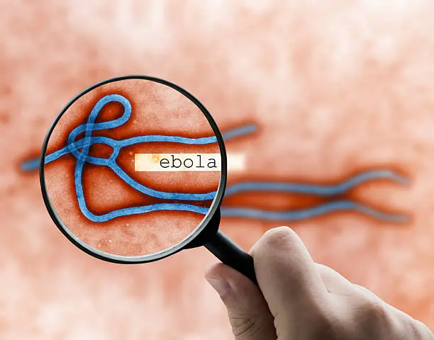 La OMS pidió reforzar medidas preventivas y monitoreo en zonas con casos sospechosos de ébola. / iStock