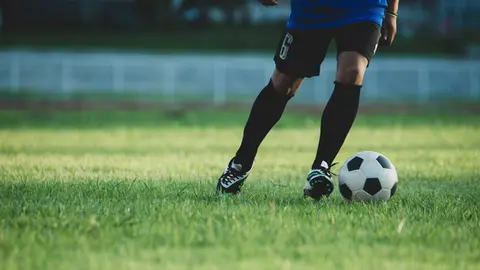 Los fans mexicanos acuden en promedio a 4.3 eventos deportivos nacionales al año / Magnific