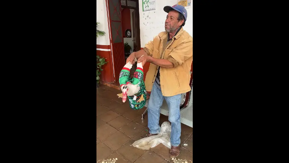 Los reclamos empezaron a llegar por la forma en que cargan al pato / Especial