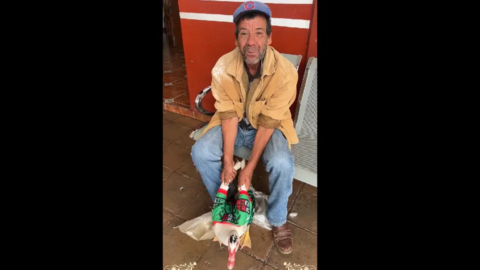 Un señor, supuesto dueño del pato, le puso su playera de la Selección Nacional al ave / Especial