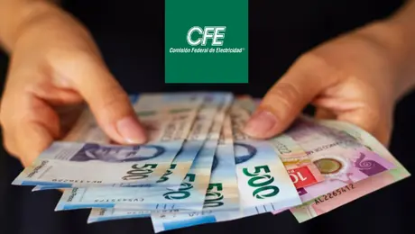 Sobra “la Luz” en CFE: acusan sueldo de más de 100 mil pesos para asesora