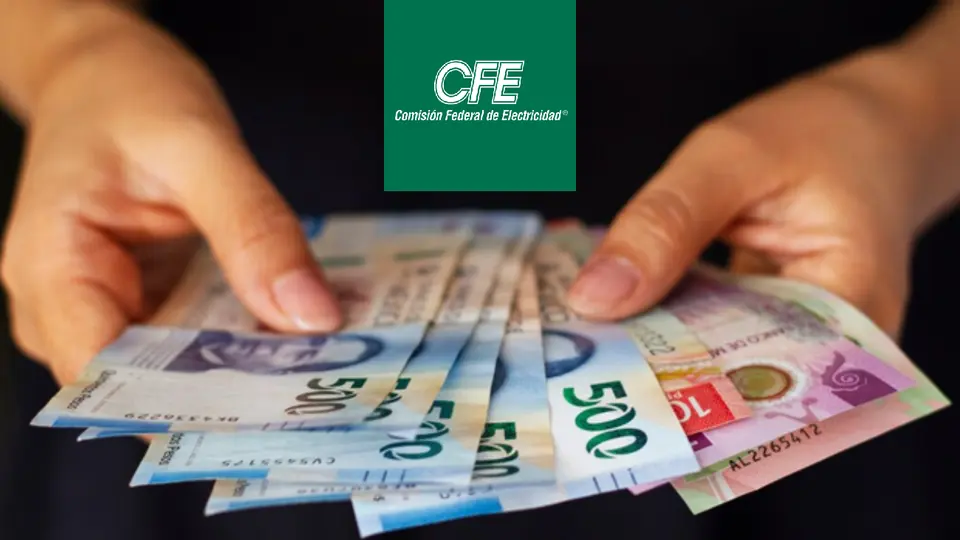 Sobra “la Luz” en CFE: acusan sueldo de más de 100 mil pesos para asesora