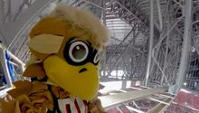 NFL: Mascota de Atlanta Falcons se lanza de tirolesa desde lo más alto dentro del estadio