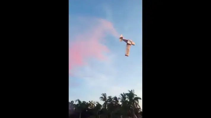 Tragedia en Sinaloa: Avioneta se desploma durante evento de revelación de género