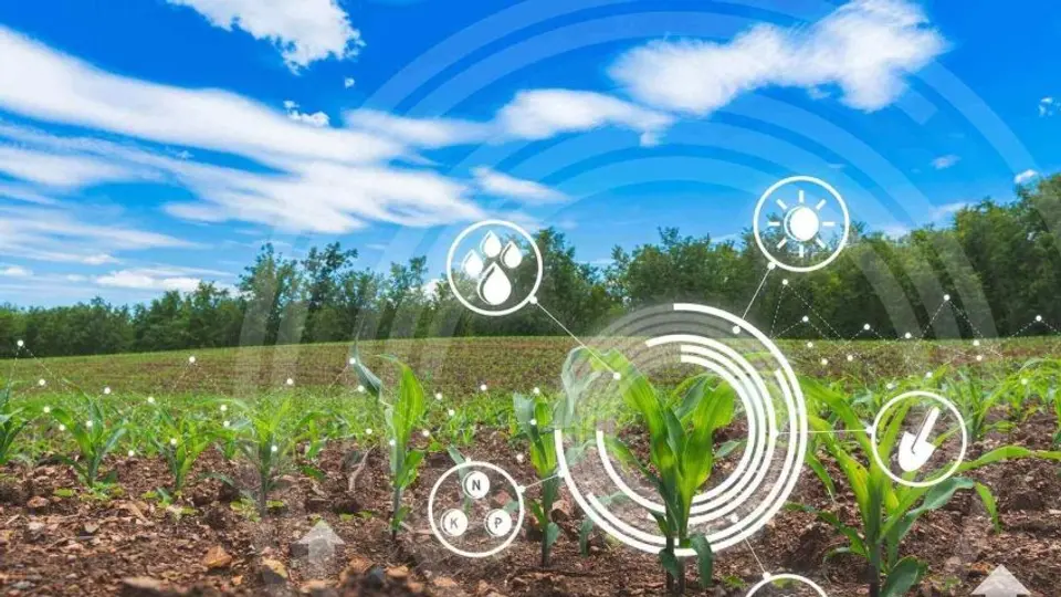 Agricultura ecológica se respalda en MAZO: Madariaga Barrilado
